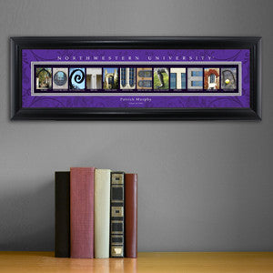 College Campus Art - Northwestern