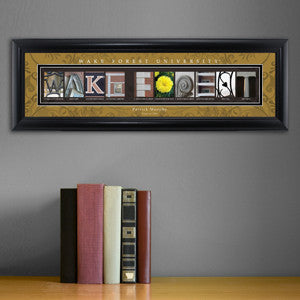 College Campus Art - Wake Forest