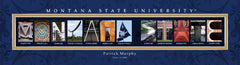 College Campus Art - Montana State