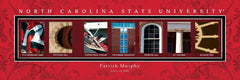 College Campus Art - North Carolina