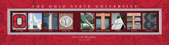 College Campus Art - Ohio State