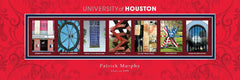 College Campus Art - Houston